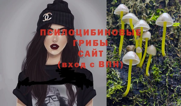mdpv Балахна