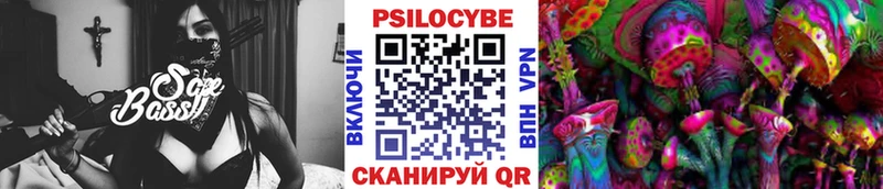 Псилоцибиновые грибы мицелий что такое наркотик Заречный