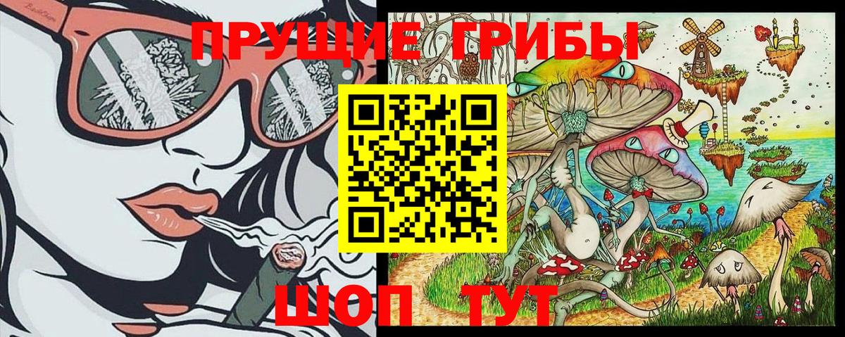 Псилоцибиновые грибы Magic Shrooms  Вход с VPN  Заречный 